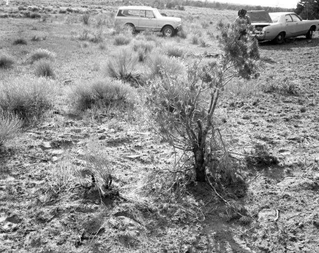 1975: Grand Canyon Doe